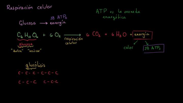 Introducción a la respiración celular | Respiración celular | Biología | Khan Academy en Español