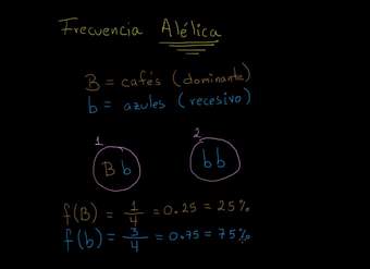 Frecuencia alélica | Herencia y evolución | Biología | Khan Academy en Español