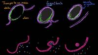 Endocitosis, fagocitosis y pinocitosis | Membranas y transporte | Biología | Khan Academy en Español