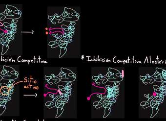 Inhibición no competitiva | Energía y enzimas | Biología | Khan Academy en Español