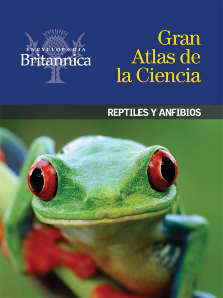 Reptiles y anfibios