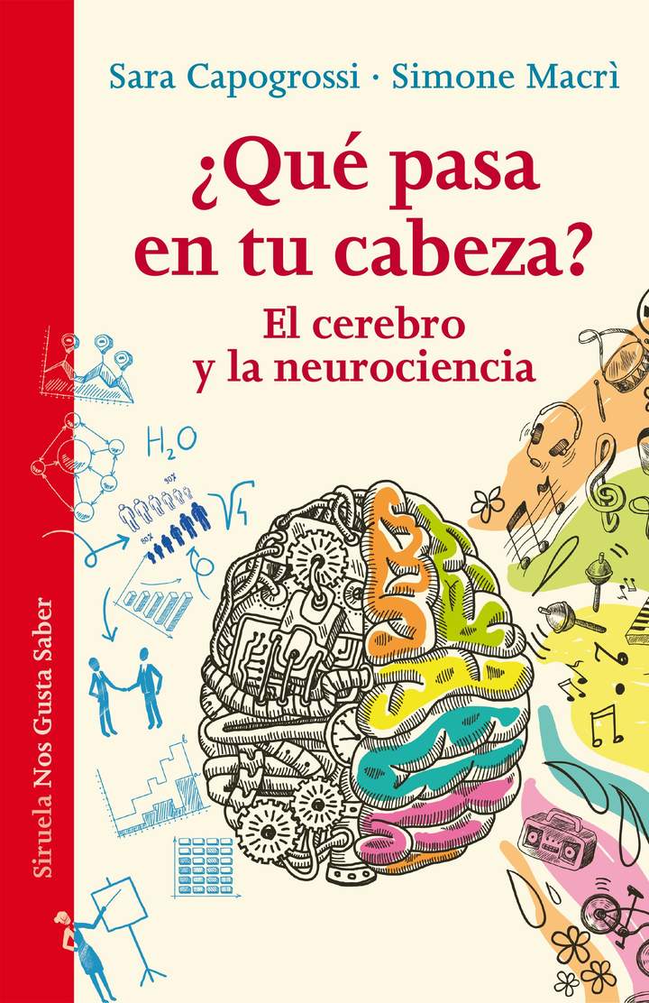 ¿Qué pasa en tu cabeza? El cerebro y la neurociencia