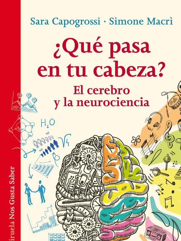 ¿Qué pasa en tu cabeza? El cerebro y la neurociencia