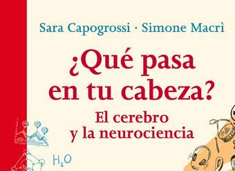 ¿Qué pasa en tu cabeza? El cerebro y la neurociencia