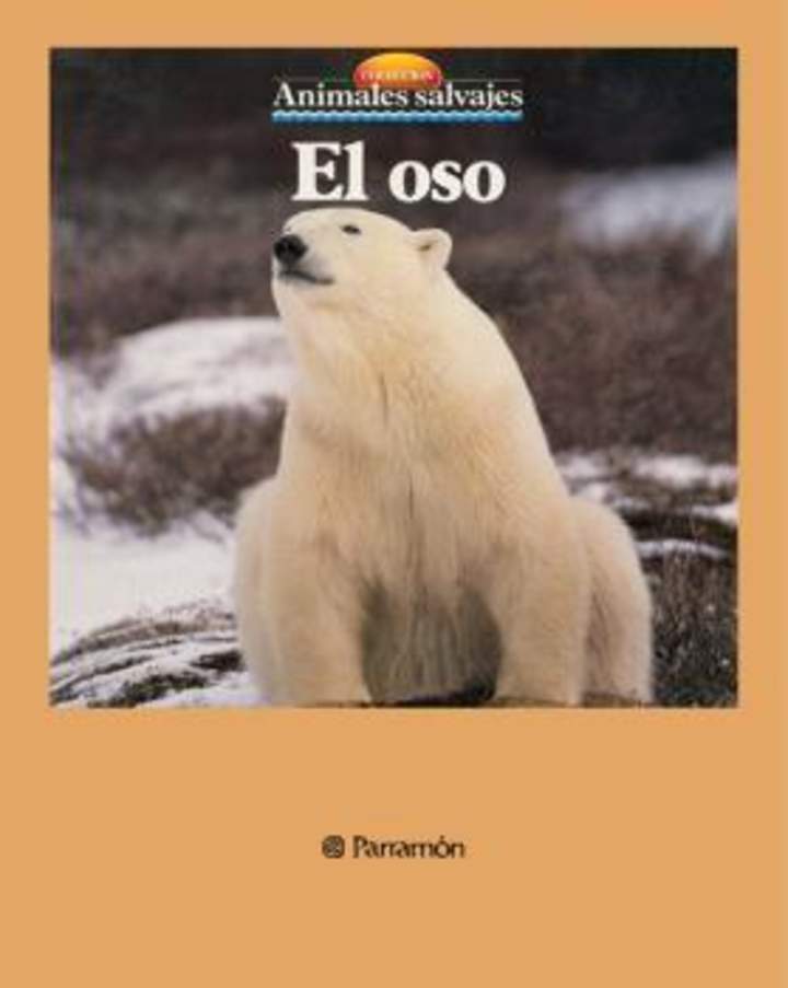 El oso