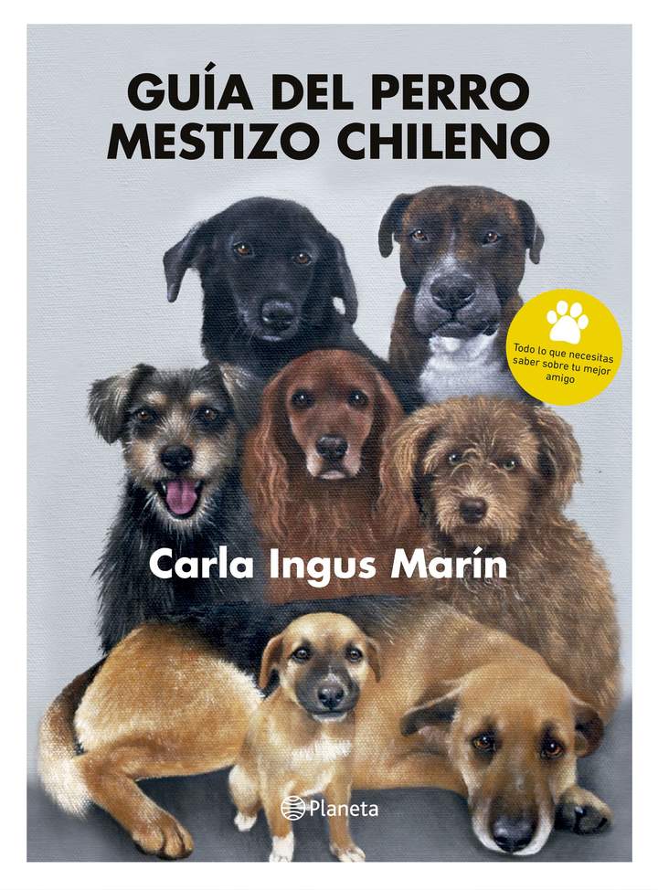 Guía del perro mestizo chileno