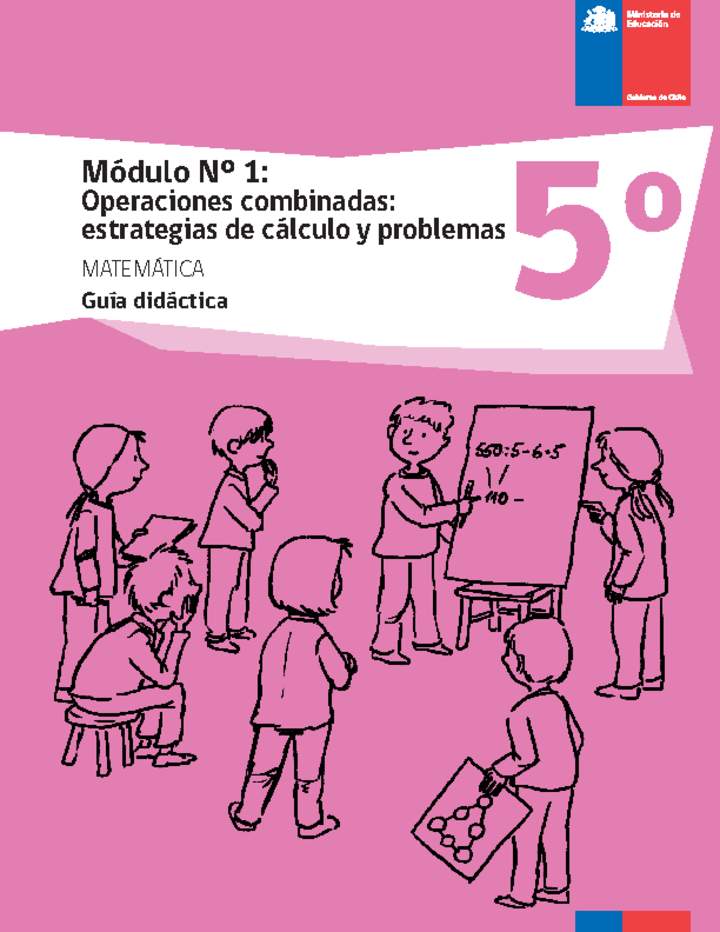 Guía didáctica: Módulo Nº 1. Operaciones combinadas: estrategias de cálculo y problemas