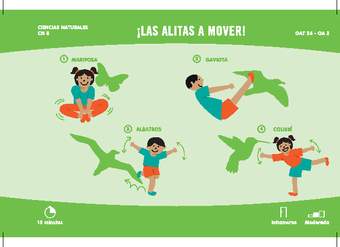 ¡Las alitas a mover!