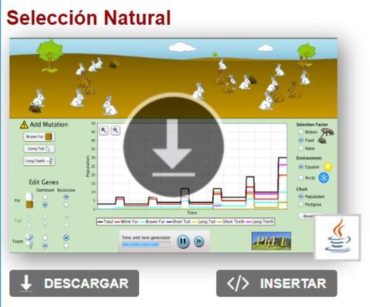 Selección Natural