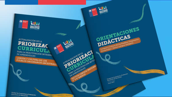 Infórmate del ciclo formativo sobre Comunidad Educativa Intercultural y su vínculo con el currículum escolar