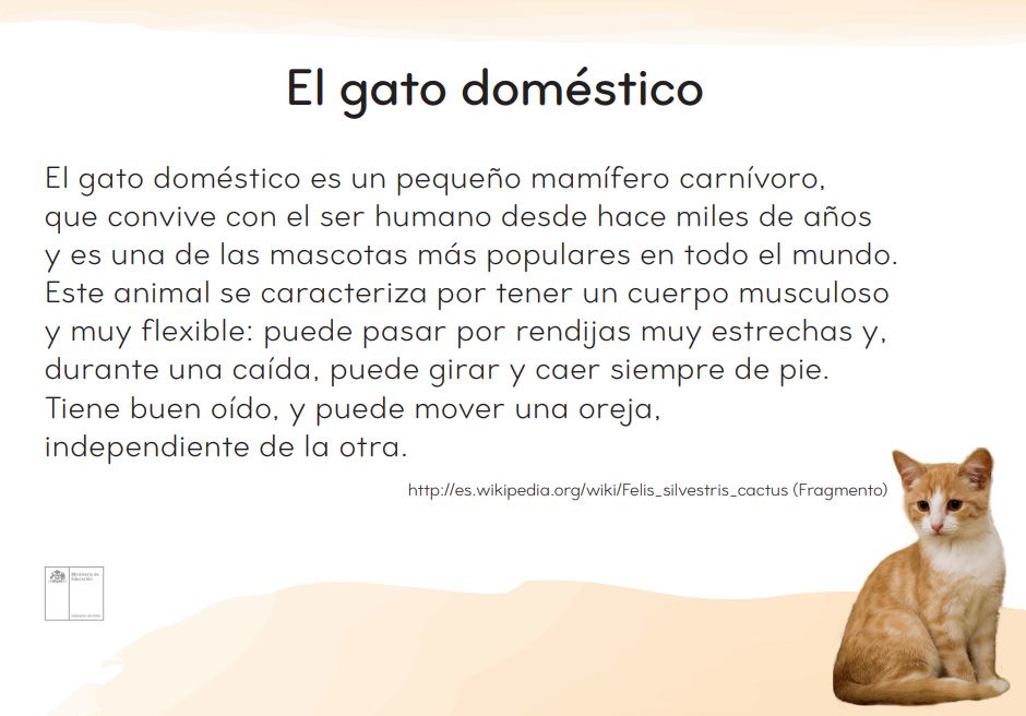 El gato doméstico