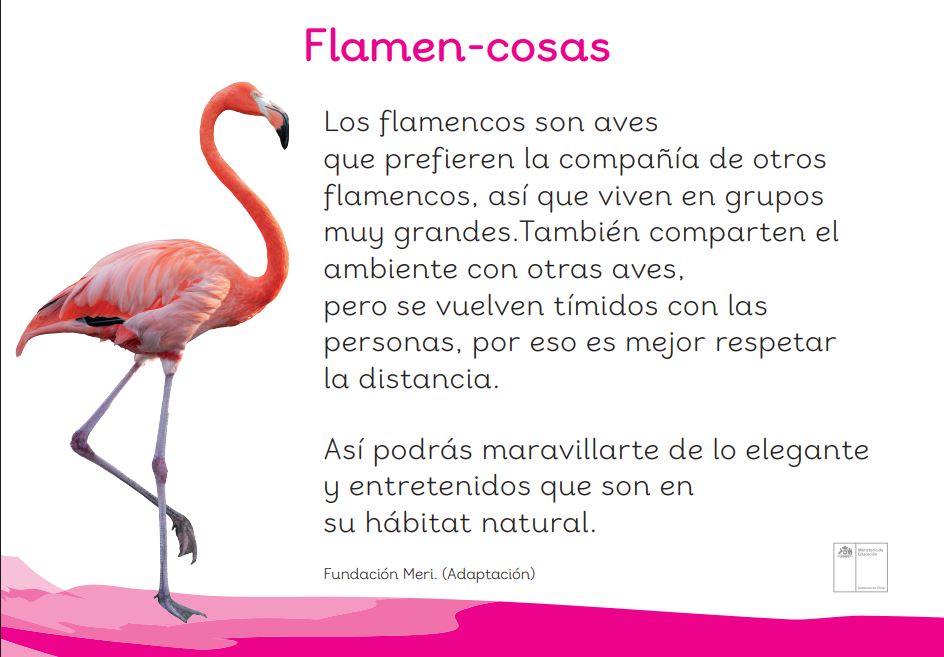 Flamen-cosas