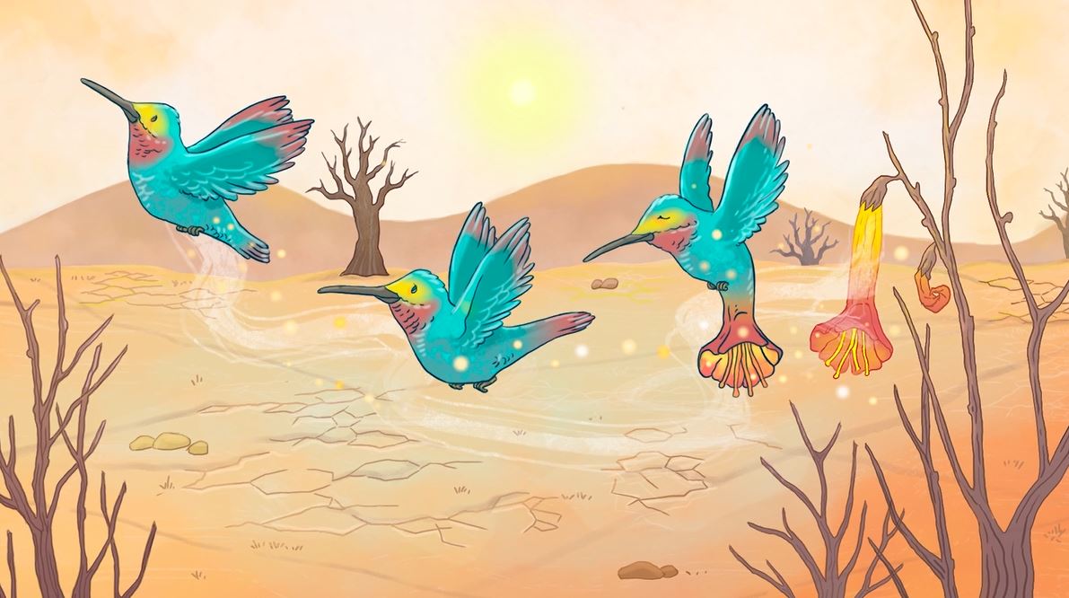La misión del colibrí