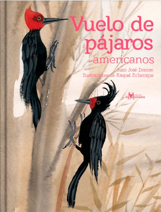 Vuelo de pájaros americanos
