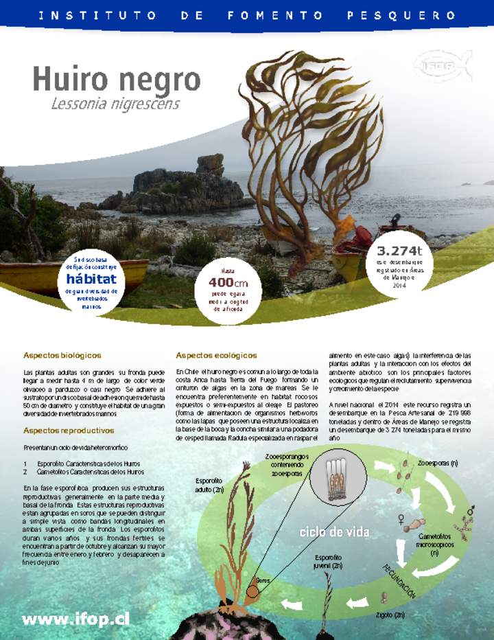 Huiro negro Imagen portada