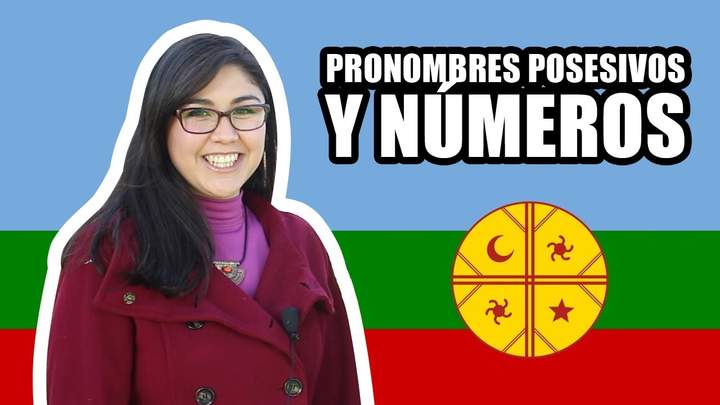 Clases de Mapudungun N°3 - Pronombres posesivos y números - Nivel Básico Imagen portada