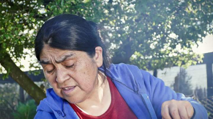 Juana Maribur, Cestería en Ñocha Imagen portada