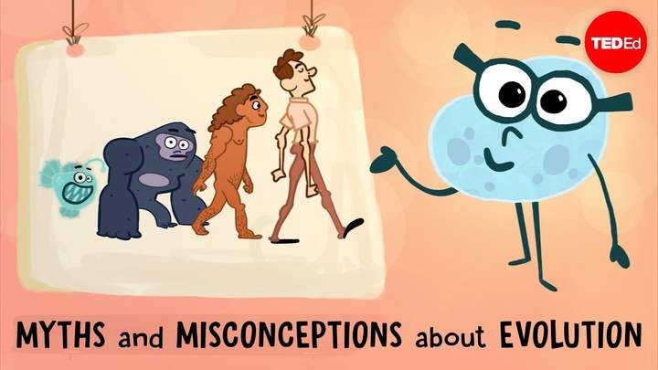 Myths and misconceptions about evolution - Alex Gendler Imagen portada