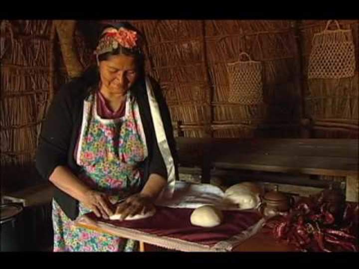 Comidas mapuche Imagen portada