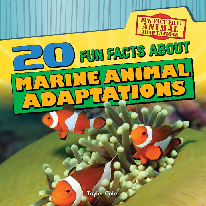 20 Fun Facts About Marine Animal Adaptations Imagen portada