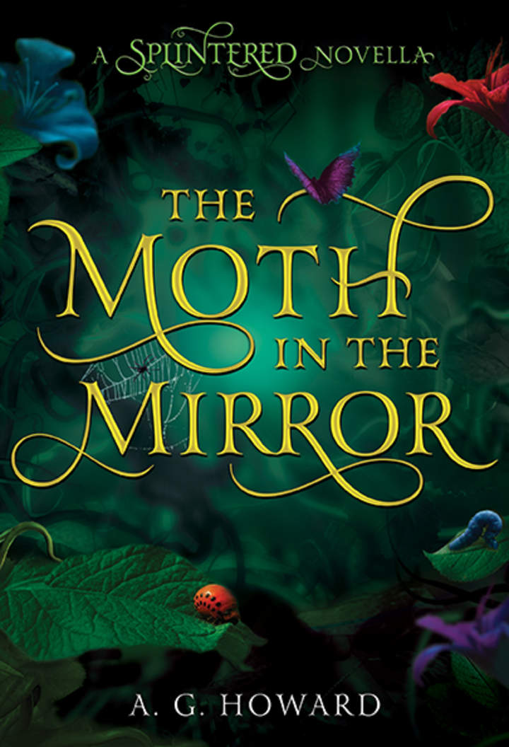 The Moth in the Mirror Imagen portada
