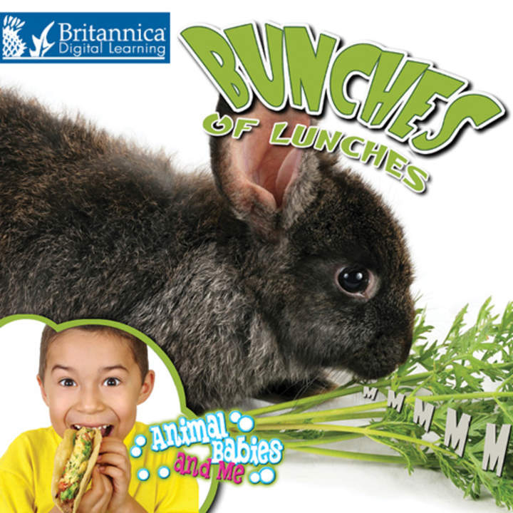 Bunches of Lunches Imagen portada