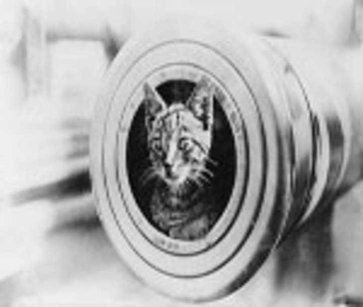 El gato con botas Imagen portada