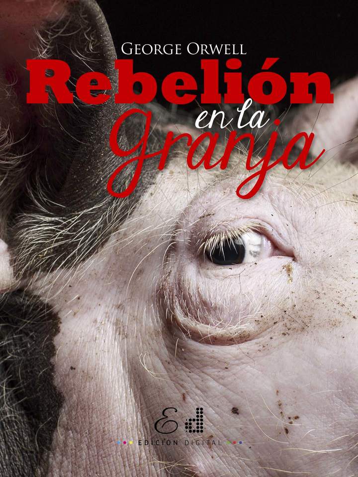 Imagen portada