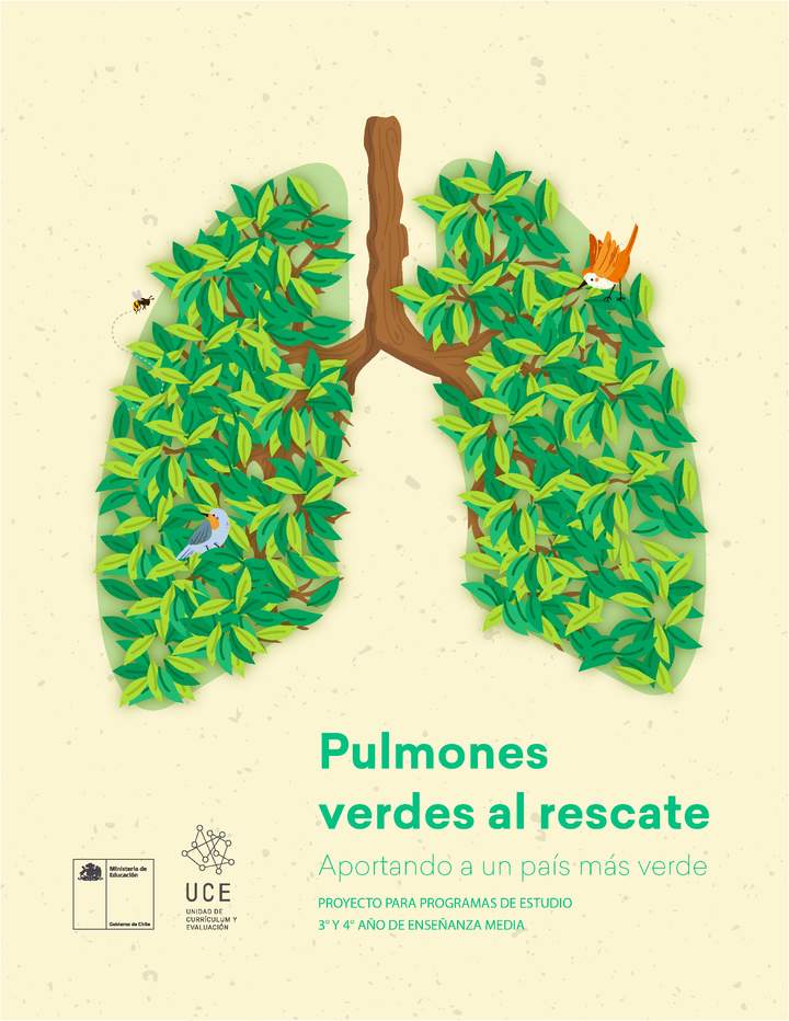 Pulmones verdes al rescate 2°, 3° y 4° medio: Aportando a un país más verde (2020-2021) Imagen portada