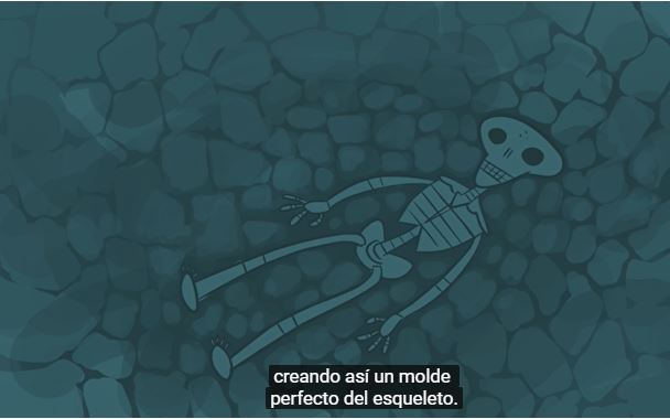 ¿Qué son y qué nos dicen los fósiles? Imagen portada