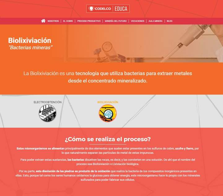 Biolixiviación "Bacterias mineras” Imagen portada