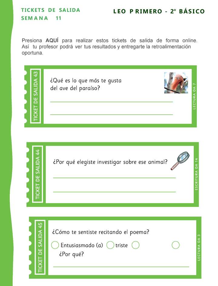 Lenguaje y comunicación 2° básico - Evaluación Semana 11 Imagen portada