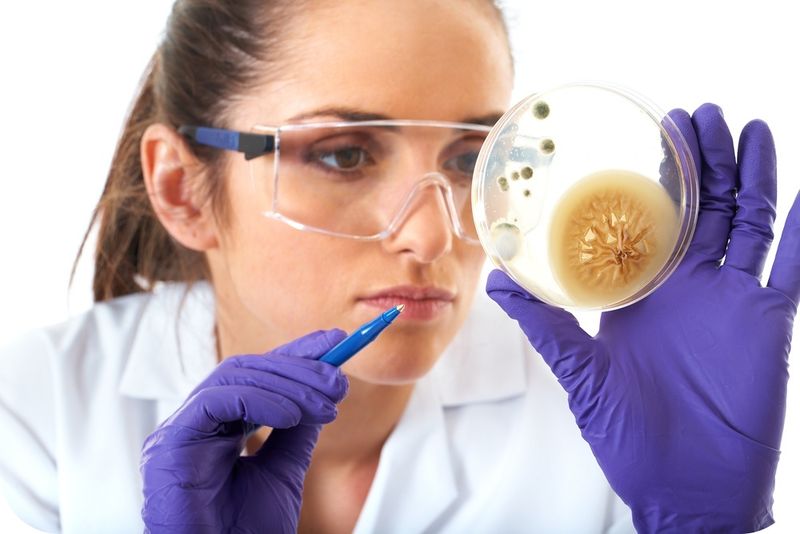 Microscopio Imagen portada
