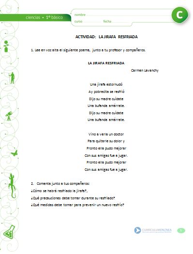Prevención de enfermedades Imagen portada