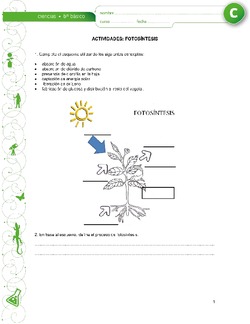 Fotosíntesis Imagen portada