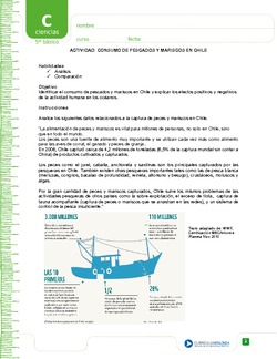 Consumo de pescados y mariscos en chile Imagen portada