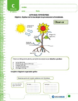 Fotosíntesis Imagen portada