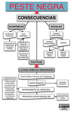 Mapa conceptual consecuencias peste negra Imagen portada