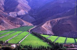Valle del Elqui Imagen portada
