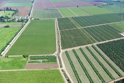 Viñas de Molina Imagen portada