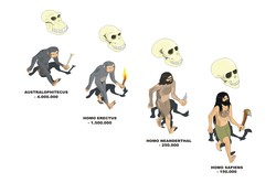 Evolución hombre Imagen portada