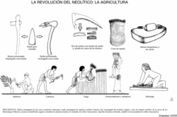 Agricultura Neolítico Imagen portada