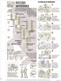 Trabajo de los arqueólogos Imagen portada
