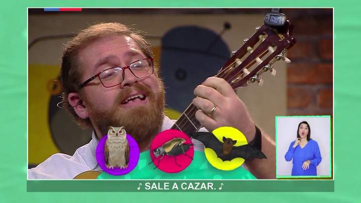 Aprendo TV: Ciencias naturales 1°Básico - Capítulo 06 - OA11 - Animales nocturnos Imagen portada