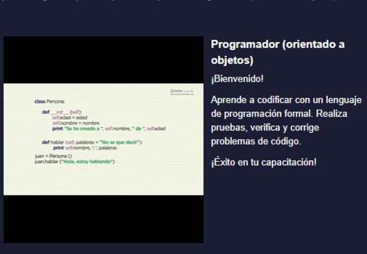 Curso: Programador (orientado a objetos) Imagen portada