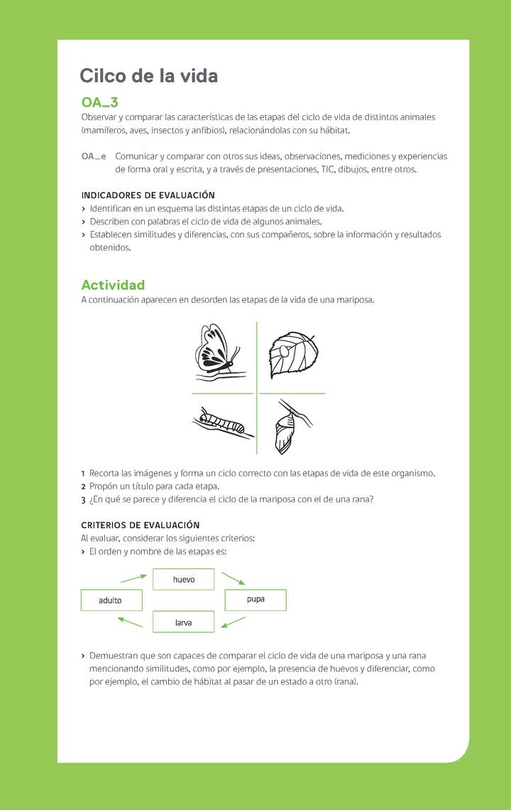 Evaluación Programa - OA03 - Ciclo de la vida Imagen portada