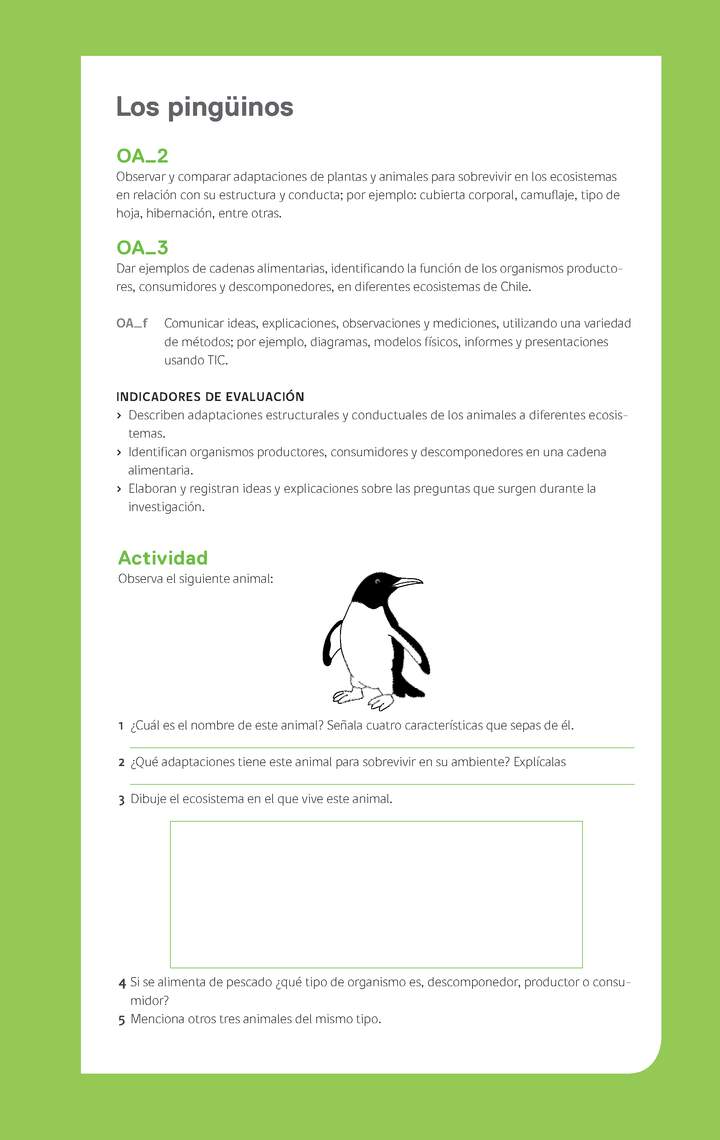 Evaluación Programa - OA02 - OA03 - Los pingüinos Imagen portada