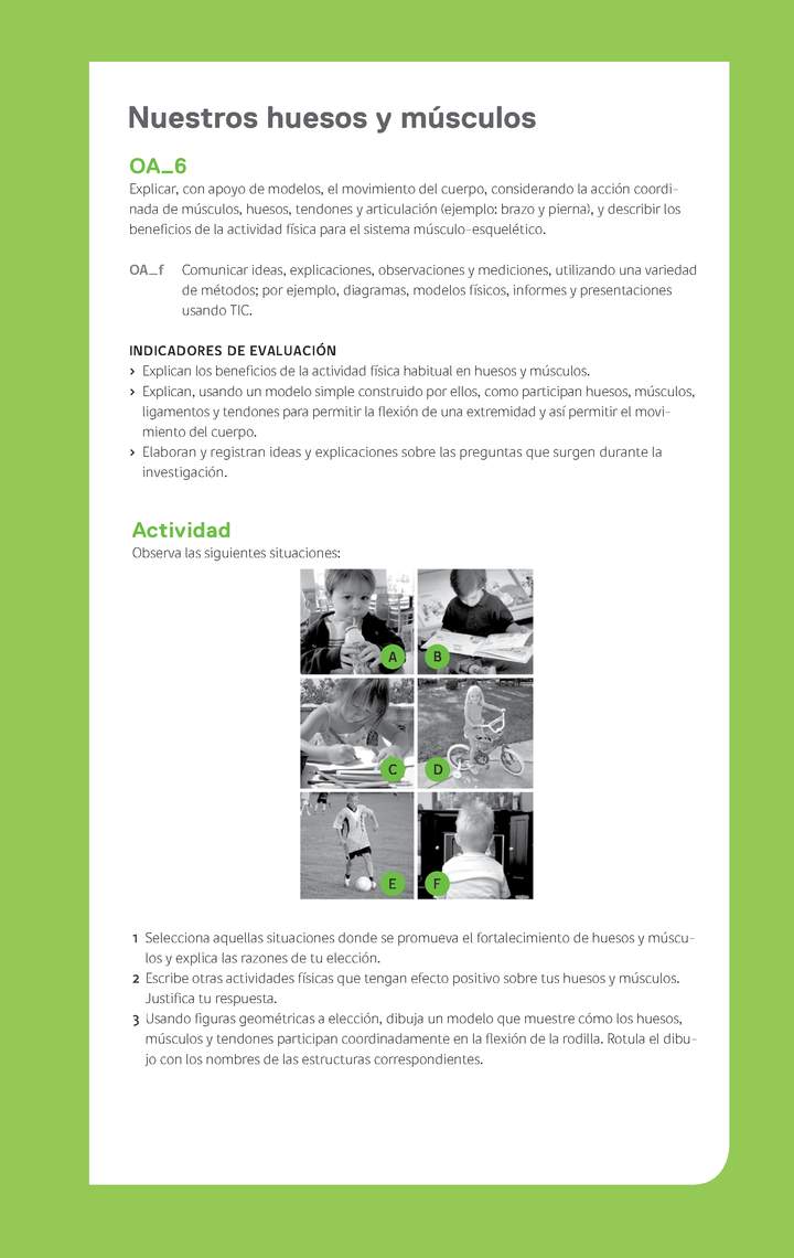 Evaluación Programa - OA06 - Nuestros huesos y músculos Imagen portada