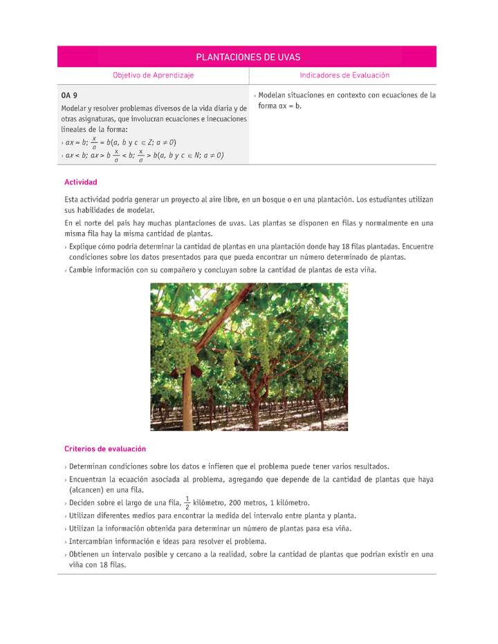 Evaluación Programas - MA07 OA09 - U2 - PLANTACIONES DE UVAS Imagen portada