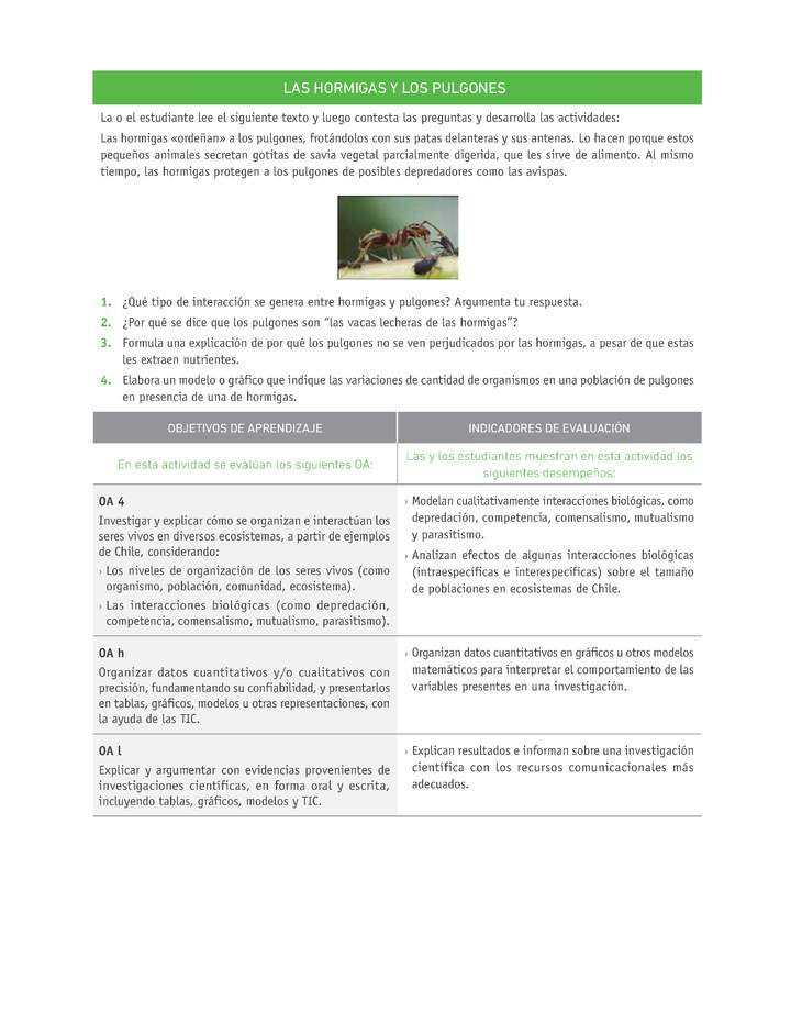 Evaluación Programas - CN1M OA04 - U2 - LAS HORMIGAS Y LOS PULGONES Imagen portada